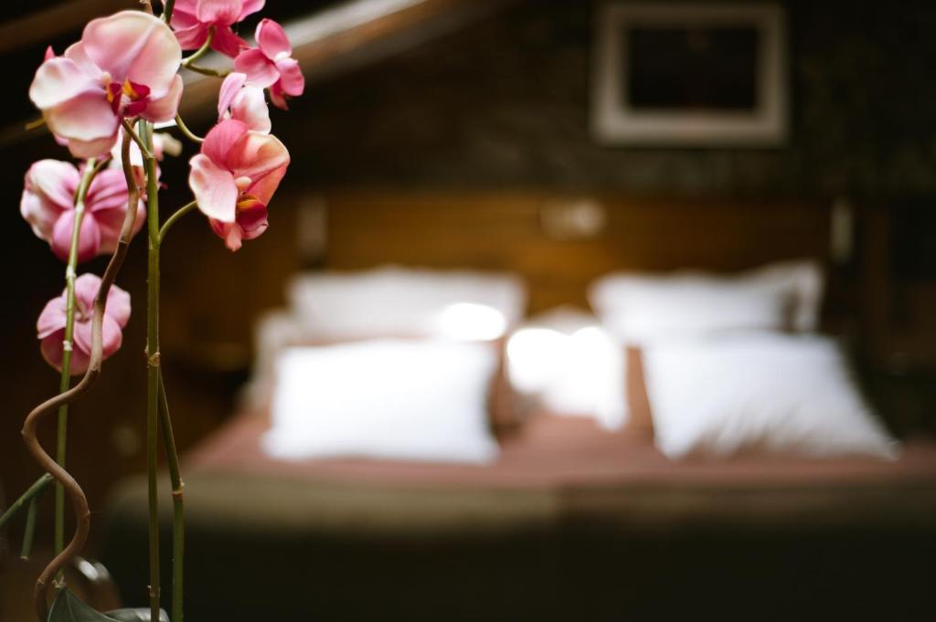 Hostal Cisco De Sans Andorra la Vella Rum bild